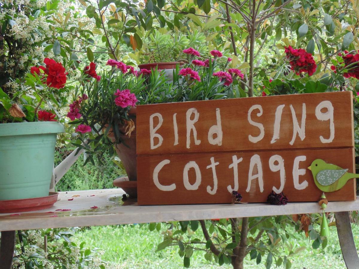Birdsing Cottage Dassia  Zewnętrze zdjęcie